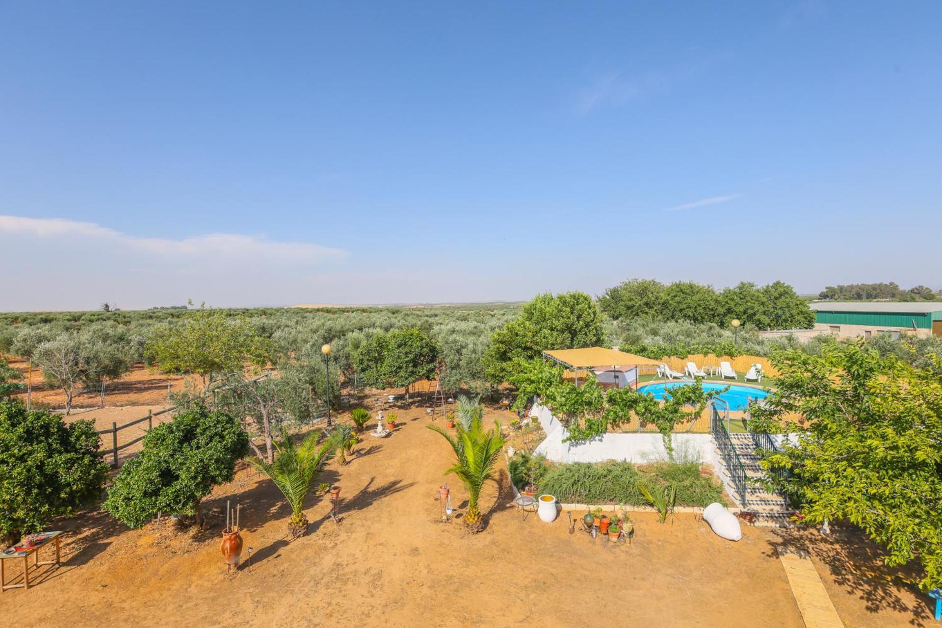 Casa Rural Los Miradores Marchena  Extérieur photo