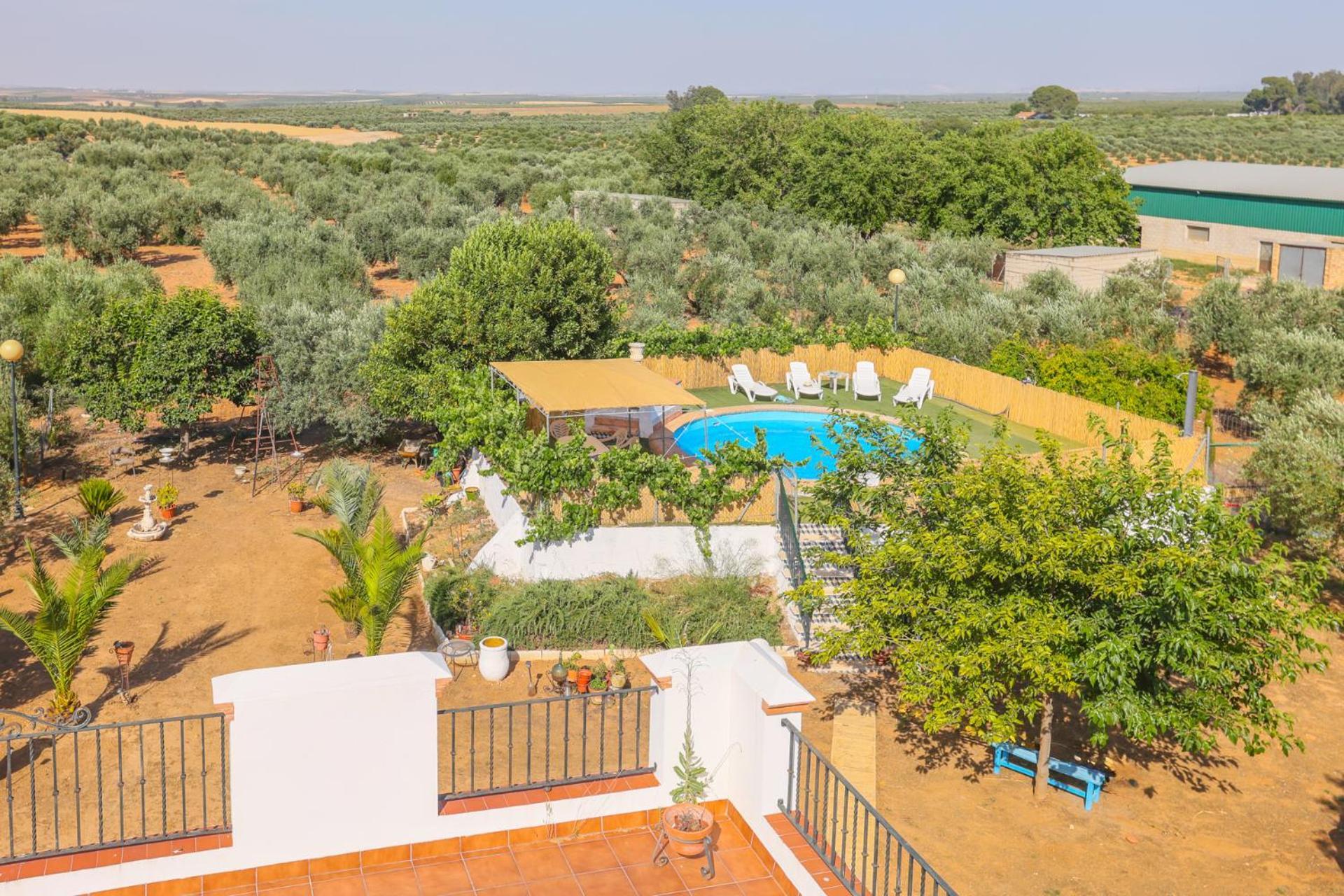 Casa Rural Los Miradores Marchena  Extérieur photo
